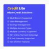 Credit Lite - Multi Branch Loan & Savings Management System
